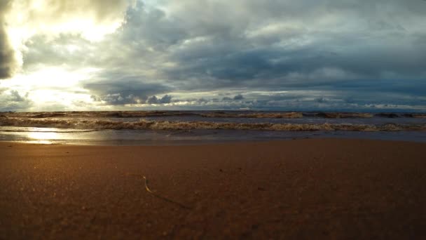 Golven op het strand in de avond. — Stockvideo