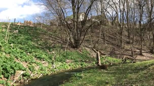 Rivière Koporka. Région de Leningrad, district de Lomonosov, Russie .