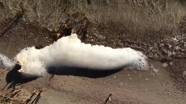 Espuma de río en la orilla . — Vídeos de Stock