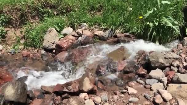 Arroyo de montaña Armenia — Vídeo de stock