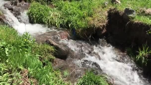 山间溪流亚美尼亚 — 图库视频影像