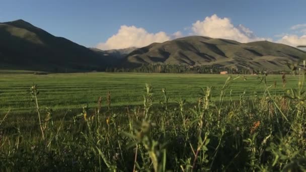 Armenia, Valle verde della montagna — Video Stock