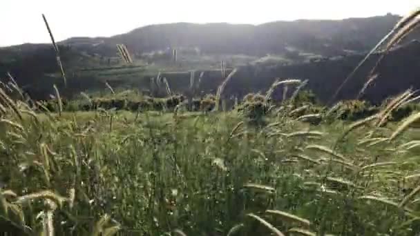 Arménie, zelené údolí — Stock video