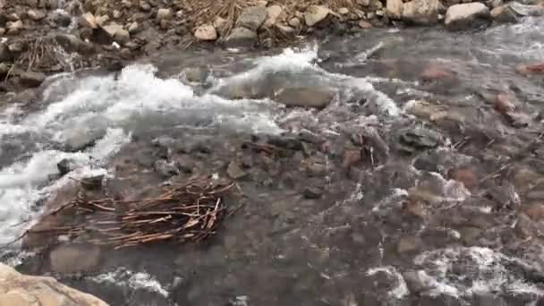 Гірський струмок Вірменії — стокове відео