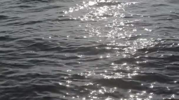 Bländning av solen i vattnet. — Stockvideo