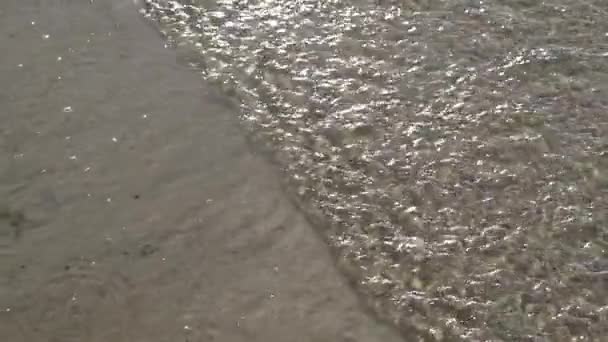 Хвилі на пляжі — стокове відео