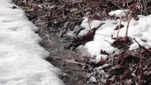 Primavera degelo de vídeo — Vídeo de Stock