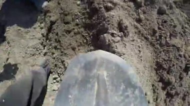 Patates dikim. POV video.