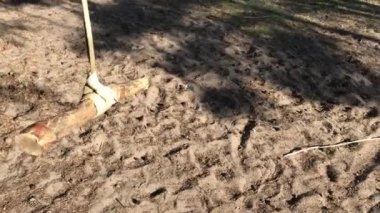 Kendi kendine yapılan ağaç salıncakta.