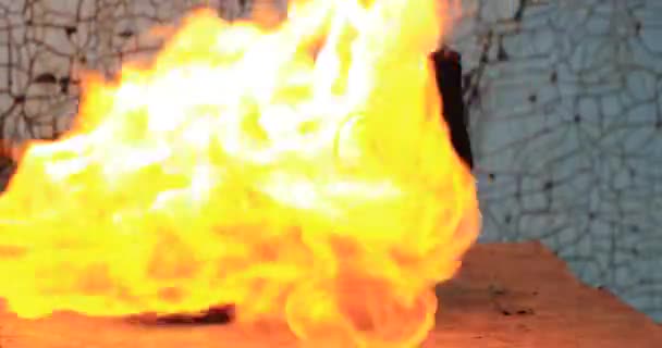 sac à main femme noir à la mode mis le feu 