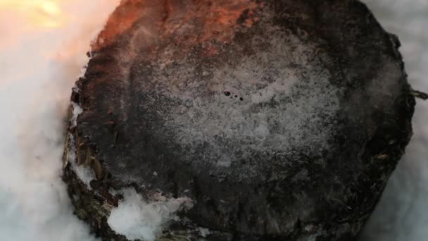 Eis auf einem Holzstumpf schmilzt unter einem Feuerstrom in Zeitlupe — Stockvideo