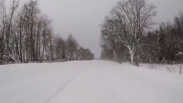 Conducir en una carretera de invierno en una tormenta de nieve — Vídeo de stock
