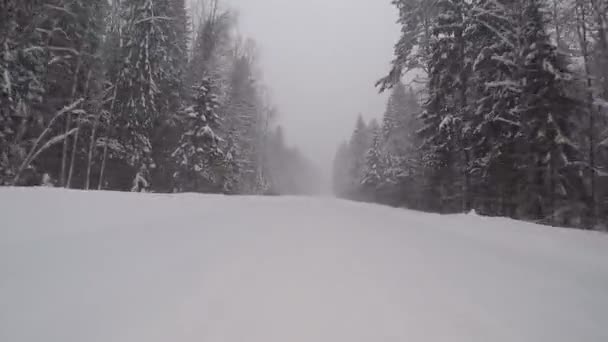 Вождение по зимней лесной дороге в снежную бурю — стоковое видео