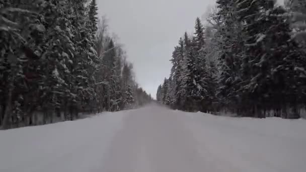 Conducir en un camino forestal de invierno en una tormenta de nieve. vista trasera del coche — Vídeo de stock