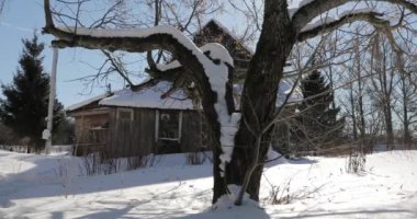 eski büyük ağacın yanında kışın eski ev