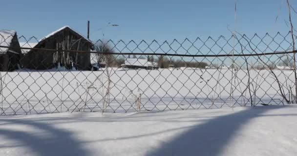 Забор сетки в деревне зимой. плавное движение справа налево — стоковое видео