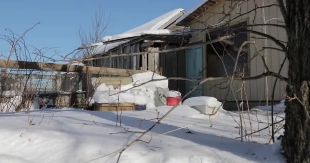 Patio trasero en un pueblo en invierno — Vídeo de stock