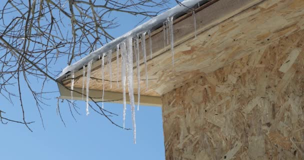 Große Eiszapfen auf dem Dach in Großaufnahme — Stockvideo