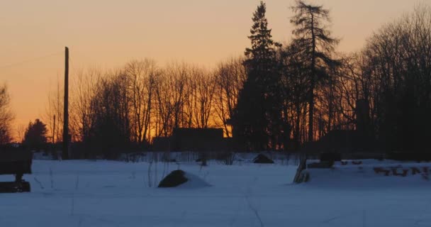 Warme winter zonsondergang in het bos — Stockvideo