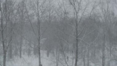 bokeh arka plan. Garland çok renkli soyut yanıp sönen arka plan bulanık