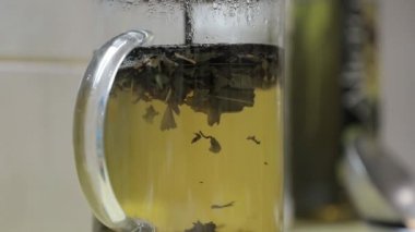 Şeffaf cam çay Basında yeşil çay gibi demleyin. ağır çekim video