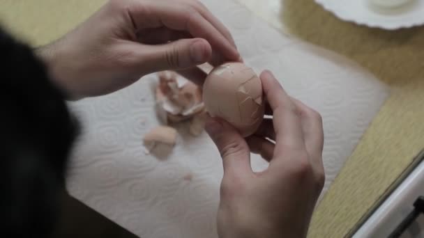 Homme nettoie un œuf de poulet bouilli de la coquille — Video