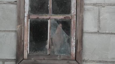 tavuk pencere yavaş video