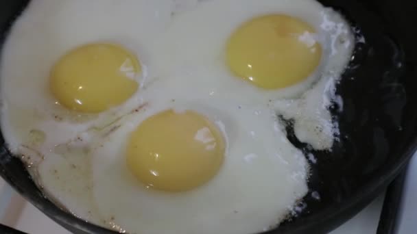 oeufs frits dans une poêle. vidéo au ralenti 