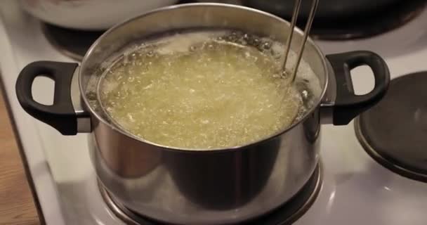 法式薯条在家里做饭 — 图库视频影像