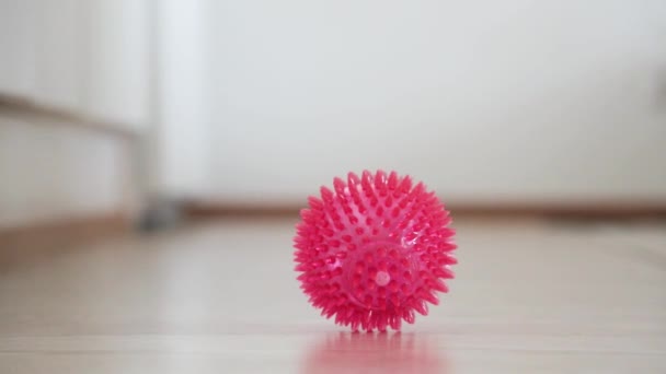 Kleine Kinder roze rubberen bezaaid bal springen thuis in de kamer. Slow motion video — Stockvideo