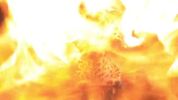 Old toy rubber cat melts under the hot flame of fire. Slow motion — Stock Video