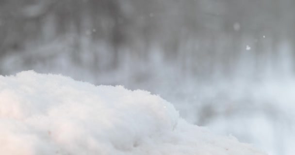 La nieve está cayendo lentamente — Vídeos de Stock