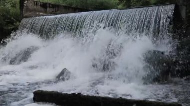 Orman ağır çekim çekim yapay şelale