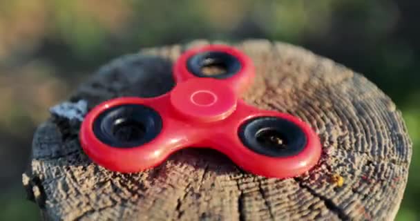 Röd spinner spinning på stubben — Stockvideo