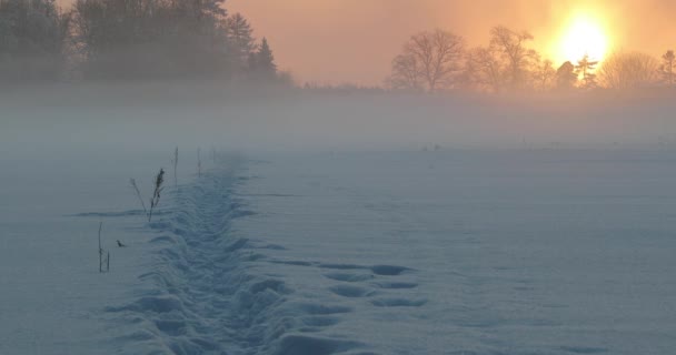 Lever de soleil d'hiver à l'extérieur — Video