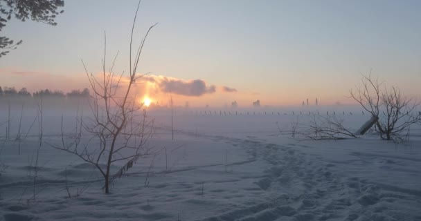 Winter zonsopgang buitenshuis — Stockvideo