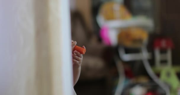Pequena criança come uma cenoura e esconde-se — Vídeo de Stock