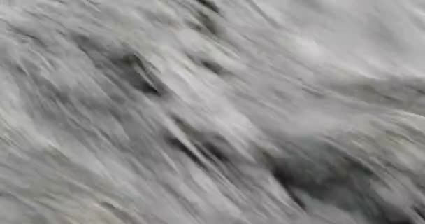 Öğleden sonra yakın çekim nehirde su akışı — Stok video