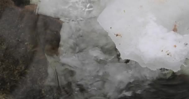 Πάγος στον ποταμό κατά τη διάρκεια της ημέρας — Αρχείο Βίντεο