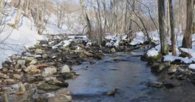 Erken Bahar ve nehrin akış boyunca karlı bankalar
