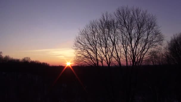 Закат на фоне кустов и деревьев. Полный хронометраж видео — стоковое видео