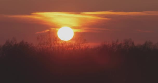 Zonsondergang in het veld video 4k — Stockvideo