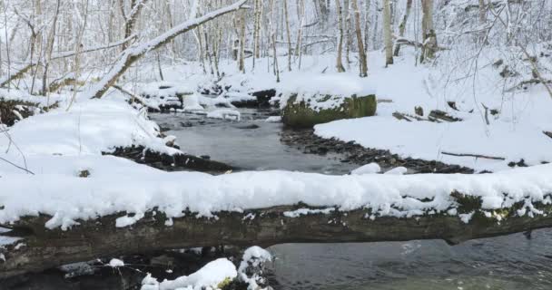 早春、雪の土手に沿って川の流れ — ストック動画