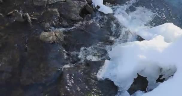 Início da primavera e o fluxo do rio ao longo das margens nevadas — Vídeo de Stock
