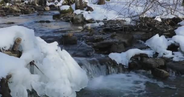 Tidigt på våren och floden flödar längs snöiga — Stockvideo