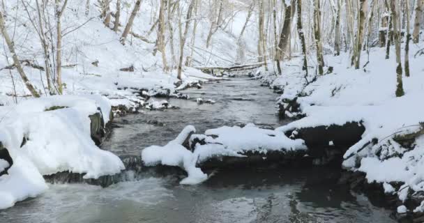 Vroeg in de lente en de stroom van de rivier langs de oevers van de besneeuwde — Stockvideo