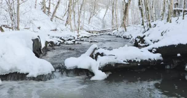 Vroeg in de lente en de stroom van de rivier langs de oevers van de besneeuwde — Stockvideo