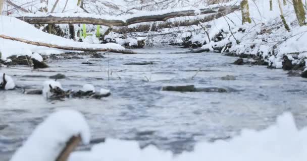 Tidigt på våren och floden flödar längs snöiga — Stockvideo