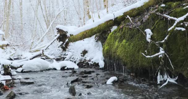 Ранняя весна и река течет вдоль снежных берегов — стоковое видео