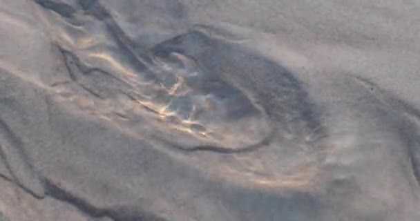 A víz átfolyik a homokot, így a gyönyörű minták — Stock videók
